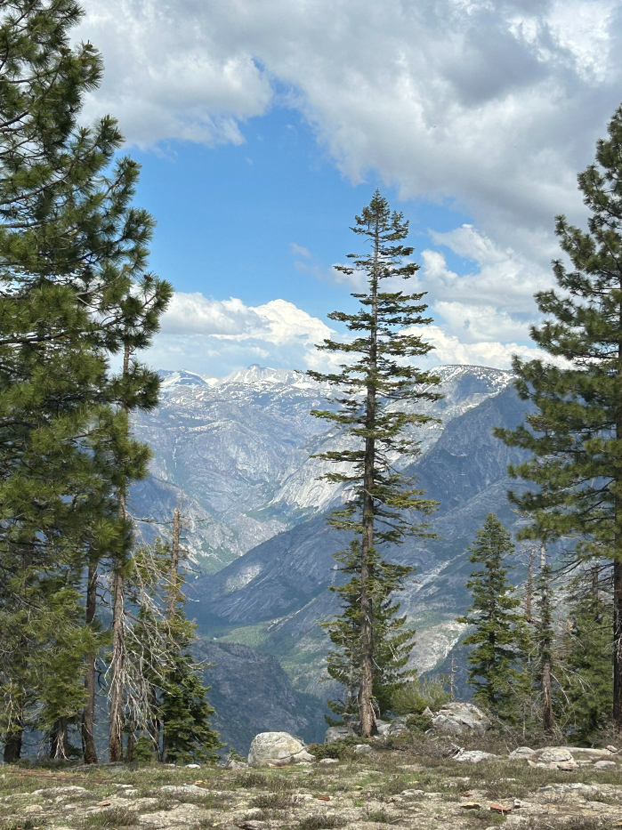 Mount Conness in the distance