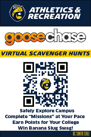 goosechase-flyer.png