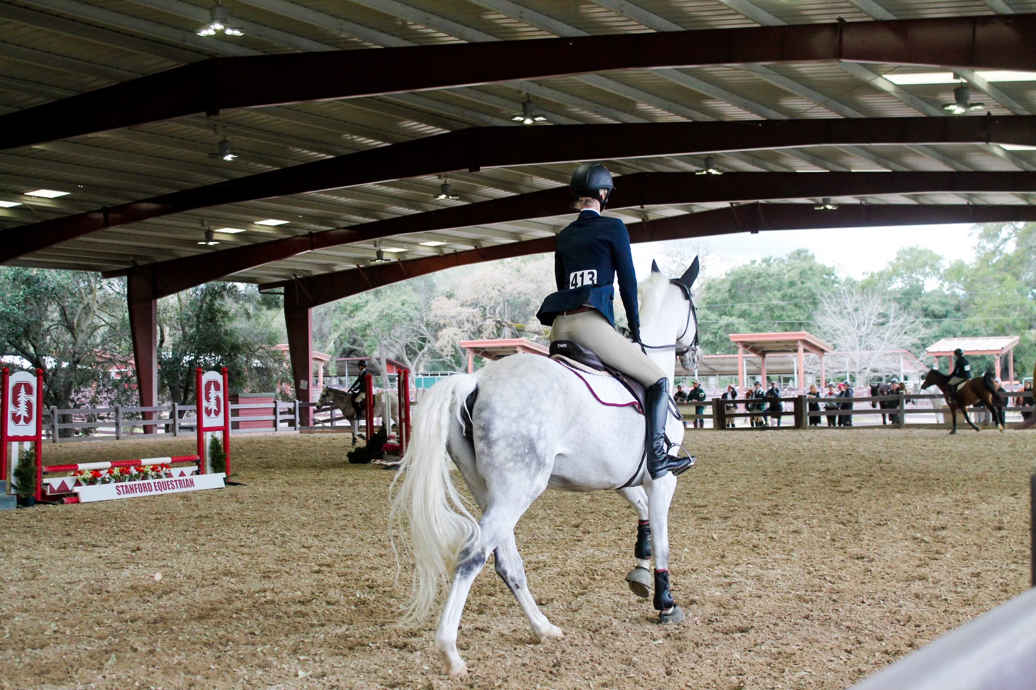 Dressage Team