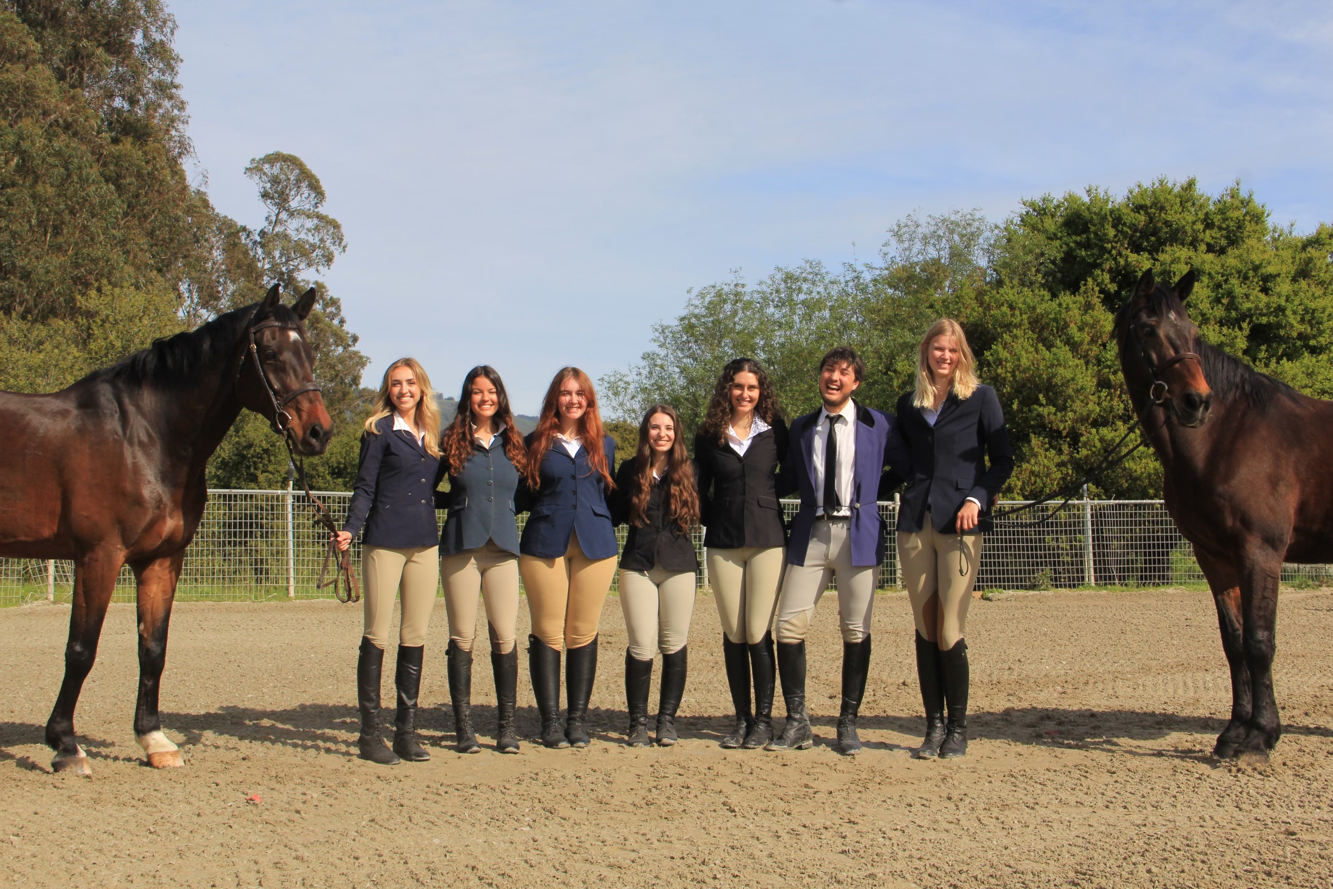 Equestrian Club Banner 3